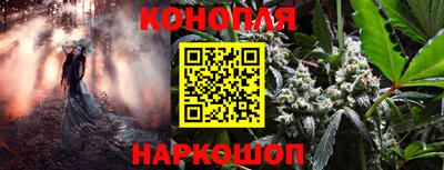 mdma Можга